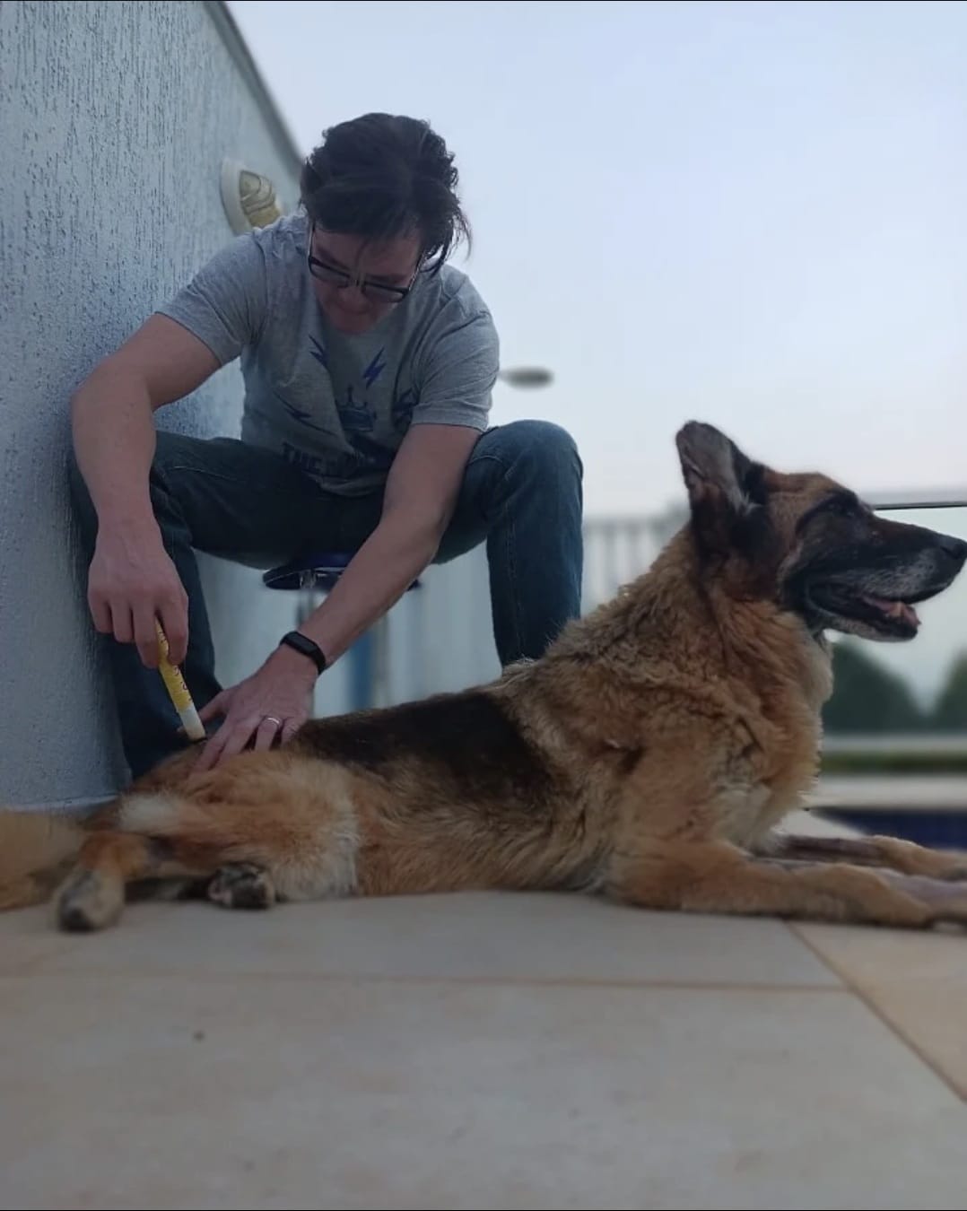 Paciente 1 - cachorro